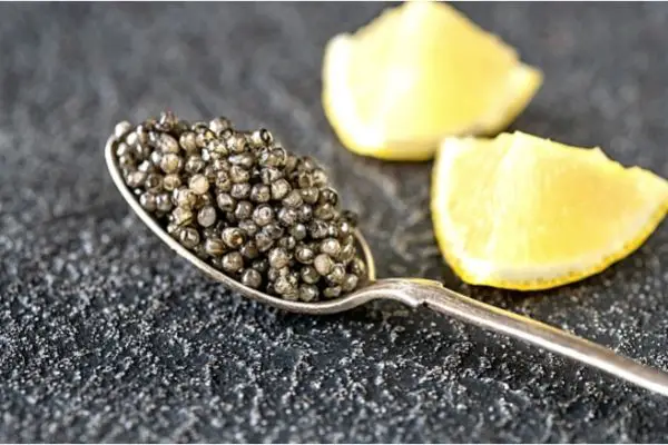 spoon full of sevruga caviar