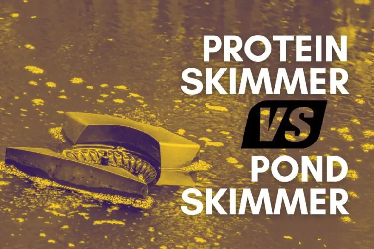 Protein Skimmer Vs. Pond Skimmer (Which Is Better?)